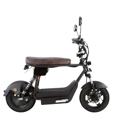 E-Roller 'E-Nomad', 25 km/h, 45 km/h, speziell für Camper und Pendler - Image 5