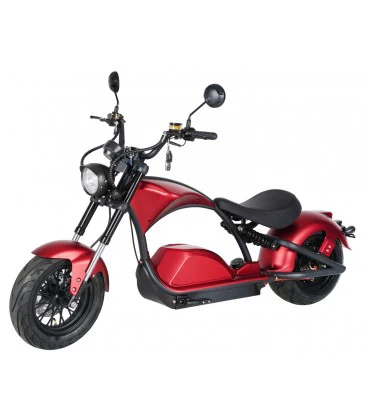 Elektroroller Chopper Blake 45km/h - hohe Reichweite mit 34AH oder 40AH Akku - Image 9